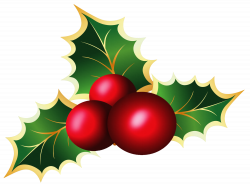 28+ Collection of Holly Clipart Transparent Background | High ...