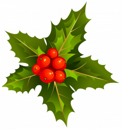 Mistletoe is a tradition for Christmas in many countries. It is also ...