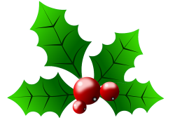 Common holly Christmas Clip art - Holly Pictures With ...
