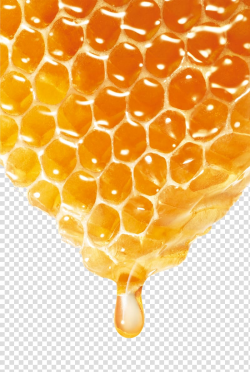 Honeycomb illustration, Bee Honey, Delicious honey ...