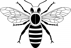 Clipart - Simple bee from above