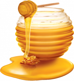 Honey PNG image free download