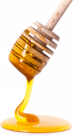 Honey Spoon transparent PNG - StickPNG