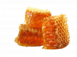 Honey Blocks transparent PNG - StickPNG