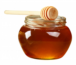 Honey PNG Transparent Honey.PNG Images. | PlusPNG