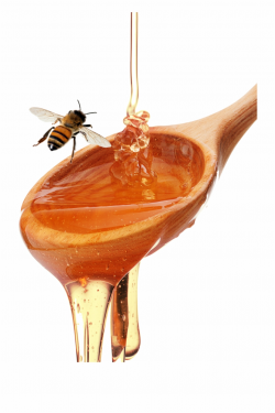 Honey Spoon - Honeybee Free PNG Images & Clipart Download ...