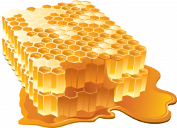 Honey Icon PNG | Web Icons PNG