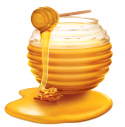 Is honey recommended for good health? - Quora