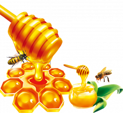 Honey Taobao Nectar Lemon Jujube - honey 992*911 transprent Png Free ...