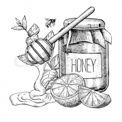 Honey Pot Sketch at PaintingValley.com | Explore collection ...