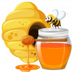 Beehive Honey bee - Cartoon bee with honey 2000*2015 transprent Png ...