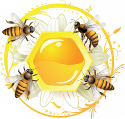 19578238.png (1077×1024) | мёд пчела | Pinterest | Crafts