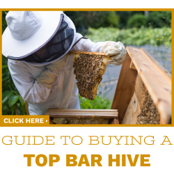 Buying Your First Beehive - Bee Built
