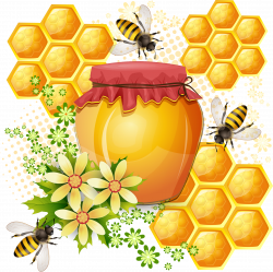 Western honey bee Honeycomb - Bees and honey 1915*1913 transprent ...