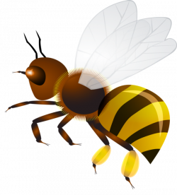 abeilles | Bees ผึ้ง | Pinterest | Bees, Clip art and Scrap