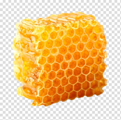 Orange honeycomb, Honeycomb transparent background PNG ...