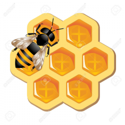 Download click art honeycomb clipart Bee Honeycomb Clip art ...