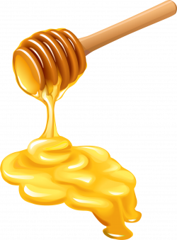 Honey bee Honey bee Honeycomb - Honey decorative pattern 1501*2038 ...