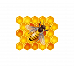 Honey bee Honey bee Clip art - honey 4091*3708 transprent Png Free ...