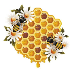 Free honeycomb and bees illustration | 3 crazy bees | Bee ...