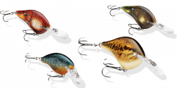 Rapala Lures & Accessories | Bass Pro Shops