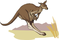 28+ Collection of Kangaroo Hopping Clipart | High quality, free ...