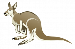 Kangaroo | Animal drawings | Pinterest | Kangaroos, Animal drawings ...