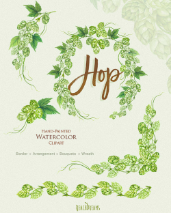 Watercolor hop clipart, Wreath, Bouquet, Arrangement, Border ...