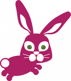 Say Hello to Hailey Hopping Hare | Astute Hoot