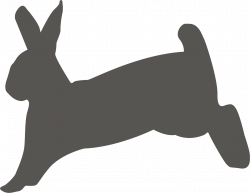 28+ Collection of Bunny Hopping Clipart | High quality, free ...