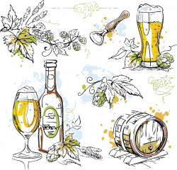 Beer Wine Hops Alcoholic beverage - Hand-drawn illustration of beer ...