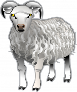 Bighorn sheep Dall sheep Clip art - goat 1615*1920 transprent Png ...