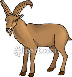 Goat With Big Horns - Royalty Free Clipart Picture