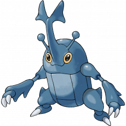 Heracross (Pokémon) | Pokémon Meta Mercury Wikia | FANDOM powered by ...