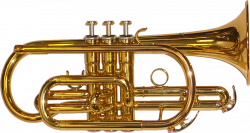 Brass Band Instrument PNG Transparent Images | PNG All