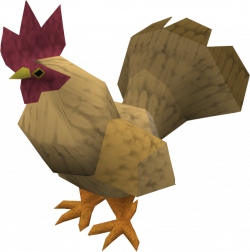 Evil Chicken | RuneScape Wiki | FANDOM powered by Wikia