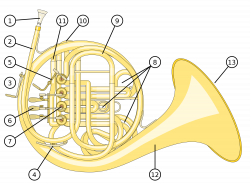 File:French Horn back.svg - Wikimedia Commons