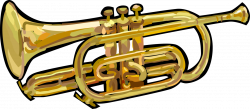 Trumpet Musical Instrument - Vector Image