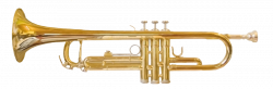 trumpet - Wikidata