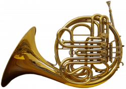 French Horn transparent PNG - StickPNG