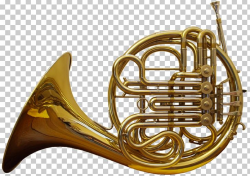 French Horn Musical Instrument Brass Instrument Orchestra ...