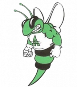 The Azle Hornets defeat the Saginaw Rough Riders 21 to 7 - ScoreStream
