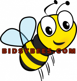 Sports - bidsybees.com