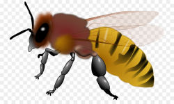 Honey Background clipart - Bee, Illustration, Cartoon ...