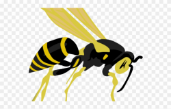 Wasp Clipart Small - Wasp Clip Art - Png Download (#1033284 ...