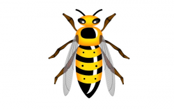 Free Cute Hornet Cliparts, Download Free Clip Art, Free Clip ...