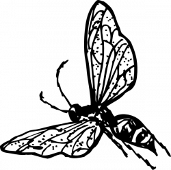 Wasp Clip Art at Clker.com - vector clip art online royalty free ...