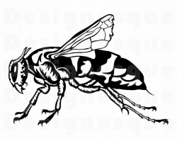 Hornet SVG, Hornet Clipart, Hornet Files for Cricut, Hornet Cut Files For  Silhouette, Hornet Dxf, Hornet Png, Hornet Eps, Hornet Vector