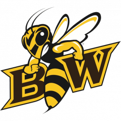 Baldwin Wallace Softball Scores, Results, Schedule, Roster & Stats ...