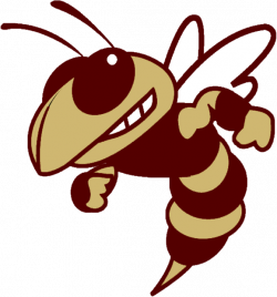 Licking Heights - Team Home Licking Heights Hornets Sports